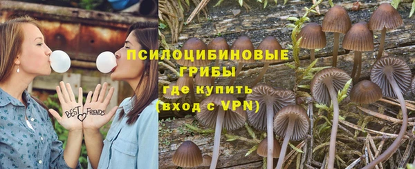 spice Баксан